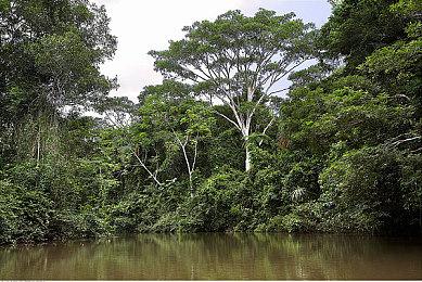 《双点校园》发售预告公布 8月10日正式发售